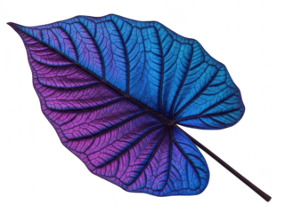 Vibrant blue and purple leaf on a transparent background with stunning color gradient effect