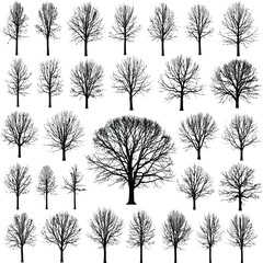 Winter Tree Collection Bare Forest Vector Illustration