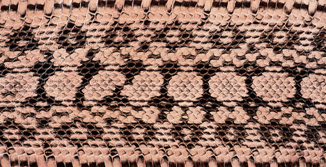 Real genuine python snake skin as background, exotic animals. Natural snake skin pattern.