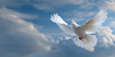White dove flying with wings spread wide against soft blue sky and fluffy clouds symbolizing peace, freedom, purity, hope, spirituality, and religious inspiration in tranquil atmosphere
