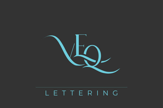 VEQ Elegant Monogram Logo Design With Decorative Lettering