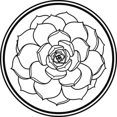 Succulent Flower Mandala Line Art Vector Illustration