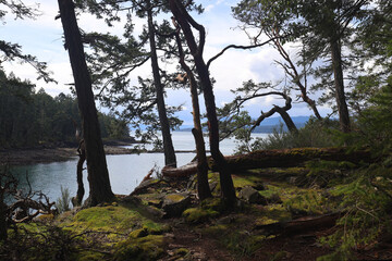 Nature Northwest scenery of British Columbia