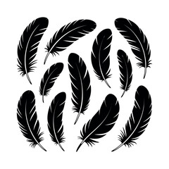 Collection of black feathers isolated on white background