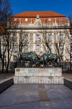 Kaliningrad, Kaliningrad Region Russia, March 09, 2025 Fighting Bison monument in spring