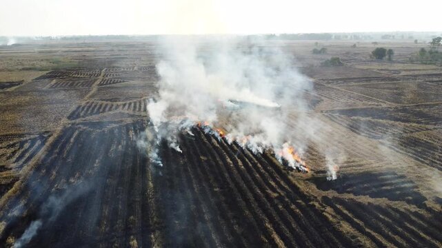 Burning parali causes severe air pollution. Dry stubble field in rural countryside. Stubble burning concept.