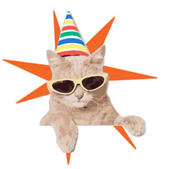 Birthday Cats Meme Characters Vector