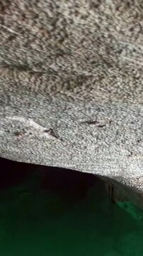 A glimpse into the breathtaking Rio Secreto, Mexico. Navigate through crystal clear, turquoise waters surrounded by intricate cave formations during a daytime excursion.