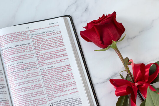 Holy bible book with red rose. Top view. Christian spiritual growth, new testament scripture study, biblical concept.