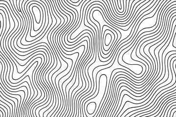 Fototapeta premium Abstract black and white curved line pattern with organic wave shapes