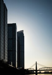 Dramatic urban silhouette featuring tall modern glass towers and a large river crossing structure against a bright sky. Abstract profile, architecture, center, bridge
