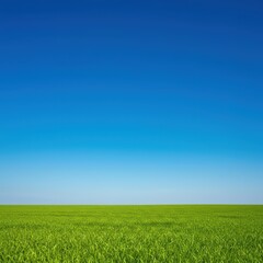 Expansive natural landscape featuring lush green grassland meeting a brilliant horizon of deep azure blue. Perfect background space for text overlay, vast, grass, freshness