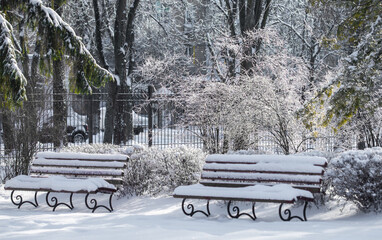Winter Wonderland Reveals Quiet Benches Embraced by Soft Snow and Delicate Frost in a Serene...