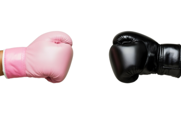 Closeup of two boxing gloves one pink and the other black touching each other on an isolated gray background symbolizing competition or tension between