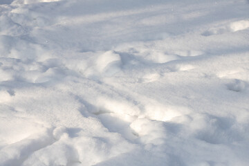 Winter Wonderland Fills the Landscape With Glistening Frost and Delicate Icicles in a Serene January Scene