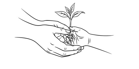 Parent Child Hands Seedling Vector - Black White Generational Community Service Nurturing Legacy Growth Line Art Illustration on White Background