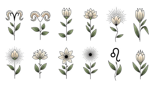 Zodiac flowers with astrological symbols isolated on a transparent background