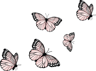 blue butterfly hand drawn design vector