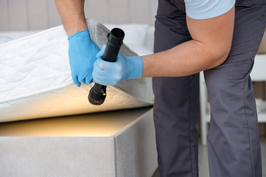 Pest control worker examining bed with flashlight indoors, closeup