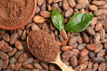 Cocoa powder in wooden spoon and green leaves on beans, top view