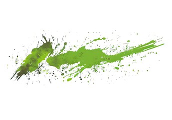 A vibrant, abstract splatter in varying shades of green, isolated on a stark white background