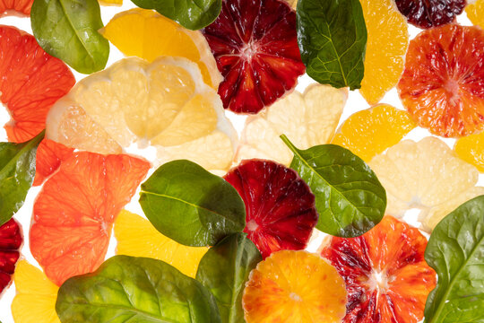 Citrus fruit slices on light table