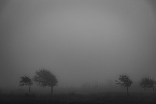 Foggy, windswept landscape - Powered by Adobe