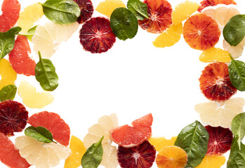 Translucent Citrus border 