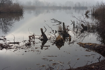 paesaggio autunale con nebbia sul lago
