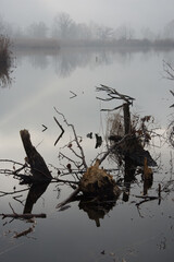 paesaggio lacustre con nebbia