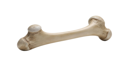 Dog toy bone made of durable material on a plain background for pet play and chewing purposes