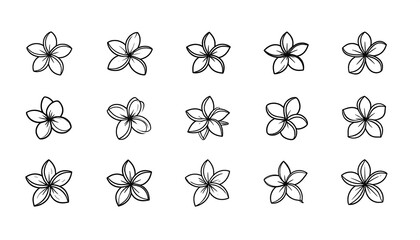 A collection of fifteen detailed black and white floral drawings, each depicting a five-petaled blossom