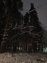 Winter snow road in the forest in the night