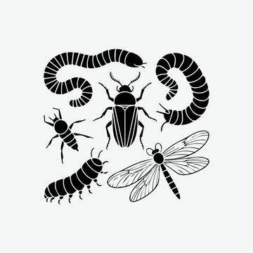 black and white worm and insect vector 4.eps