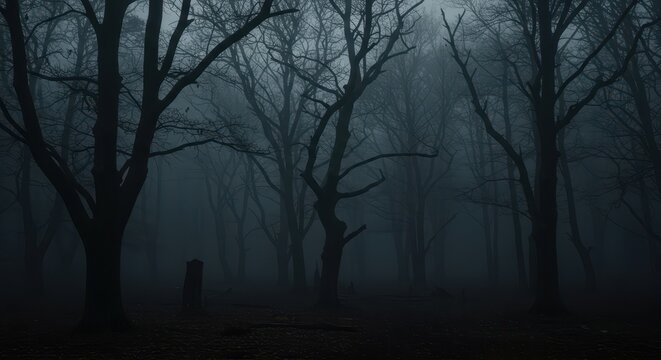 A deep, ominous forest landscape shrouded in thick, dark fog. Twisted trees stand like skeletal sentinels under dim, eerie light, branches, foggy, trunk