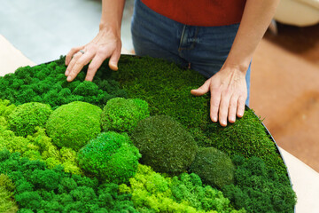 Hands of a florist arranging vibrant green stabilized moss to create a living wall art.