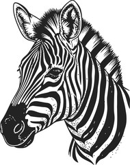 Zebra Head Portrait Vector Illustration Black and White Line Art