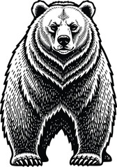 Bear Standing Front View Woodcut Style Black and White Illustration