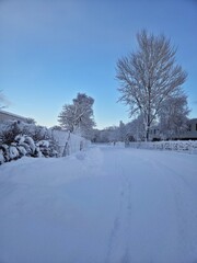 Obraz premium Quiet Snow-Covered Street in Winter Morning Light