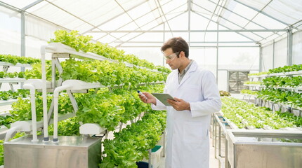 Scientist in a lab coat and safety glasses inspects fresh lettuce in a modern hydroponic greenhouse, symbolizing sustainable agriculture and food technology.