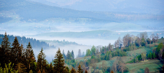 Misty landscape with rolling hills and dense pine forests. Soft morning fog envelops trees, creating dreamy and ethereal scene. In the distance, houses and trees emerge from mist.
