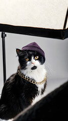 Stylized Orange Kitten with Tattoos, Purple Beanie, and Silver Chain in Spotlight Performance Setting