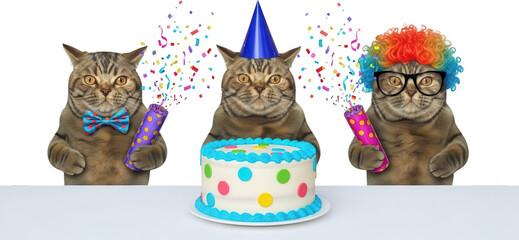 Three festive cats celebrate with a birthday cake party hats confetti and poppers exuding joy and merriment celebration happy fun animal pet cute feline transparent background