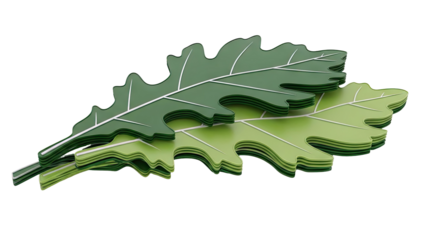 Stack of Green Oak Leaves with White Veins on White Background