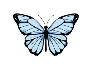 blue watercolor flock of butterfly design hand drawn