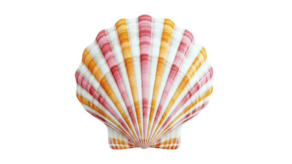 Striped Scallop Shell