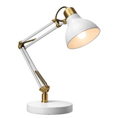 Adjustable Desk Lamp Isolated on White Background