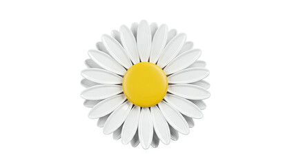 Stylized Daisy Flower with Yellow Center and White Petals