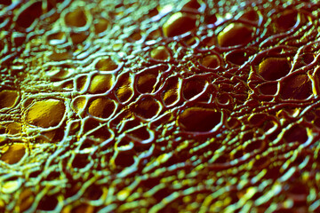 Animalistic wallpaper in holographic colors.Extreme Close-up of Iridescent Crocodile Skin. 