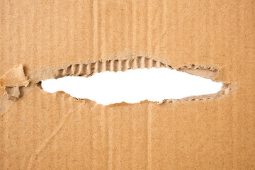 torn cardboard with transparent middle